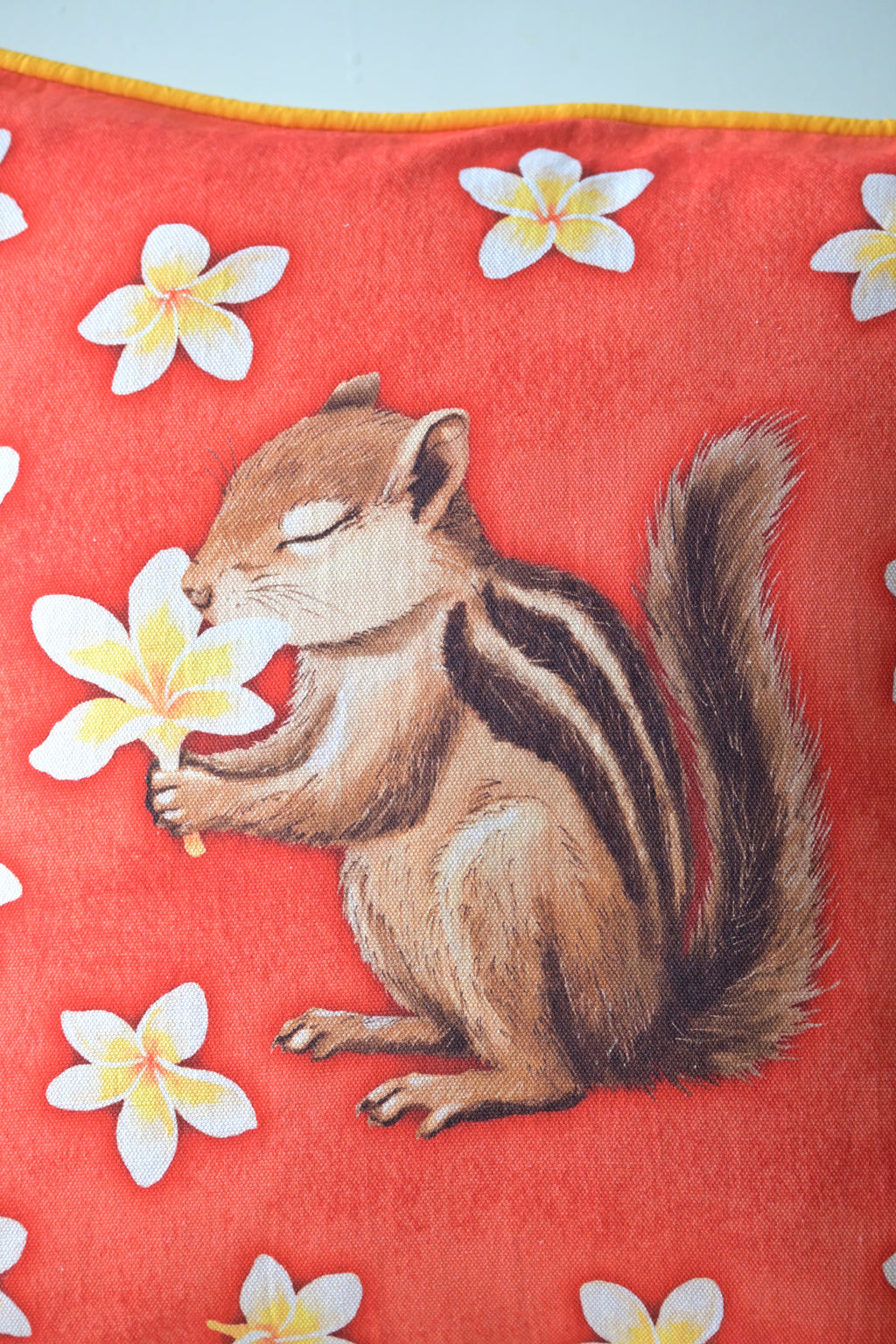 Soft breath shared by frangipani and squirrel 🌼