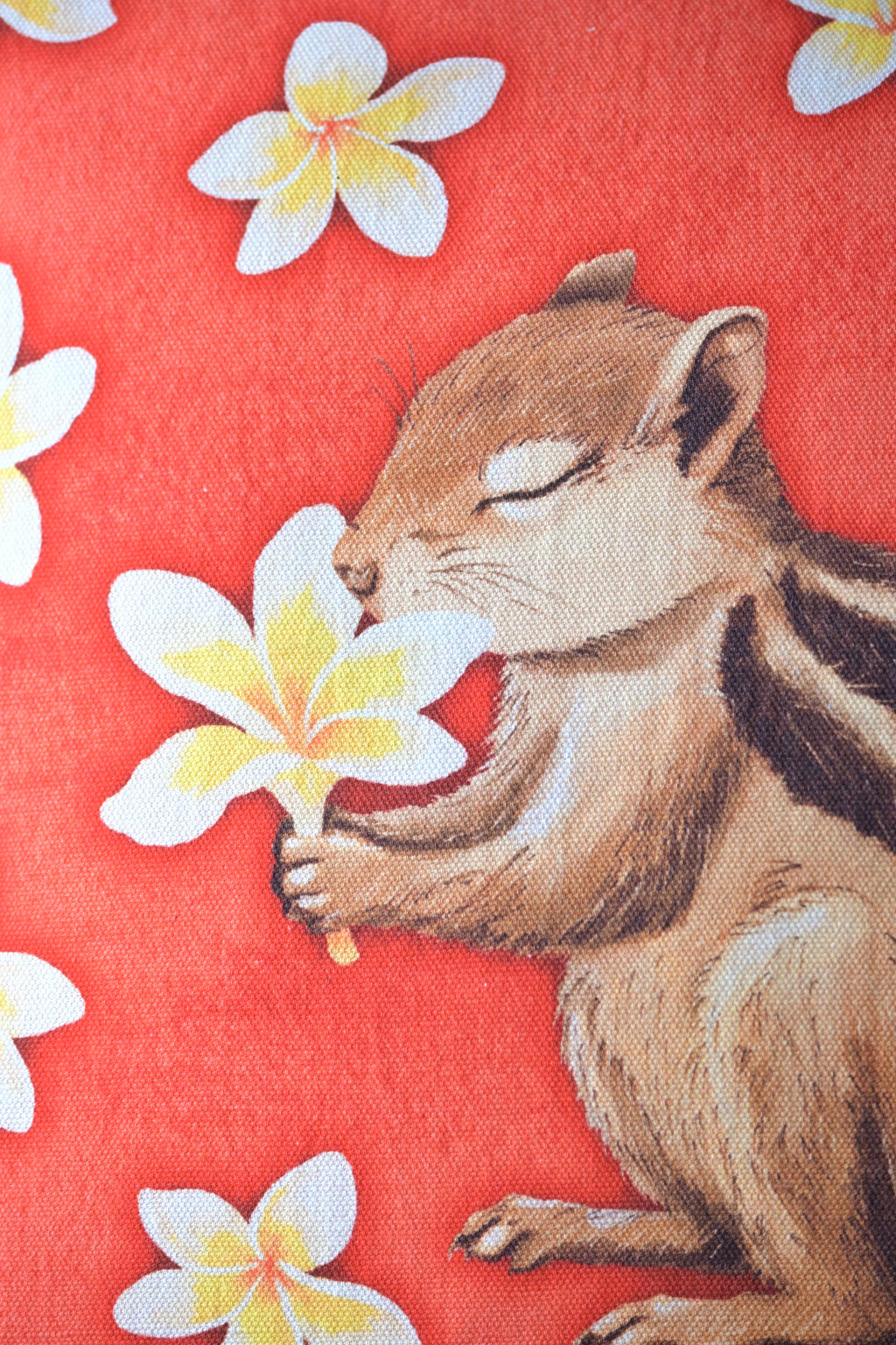 Soft breath shared by frangipani and squirrel (set of three) 🌼