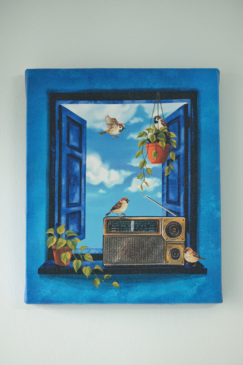 Sparrows gather as the radio plays 🌼