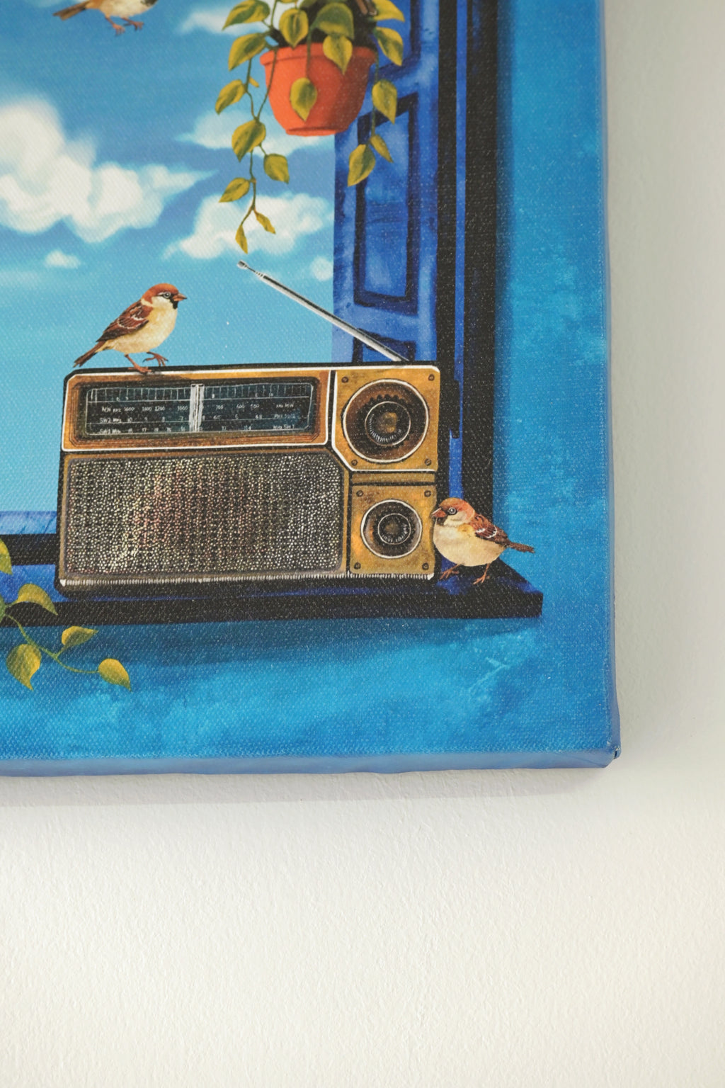 Sparrows gather as the radio plays 🌼