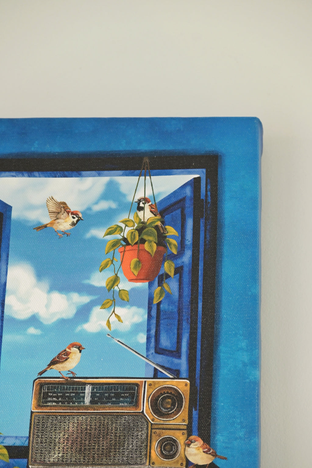 Sparrows gather as the radio plays 🌼