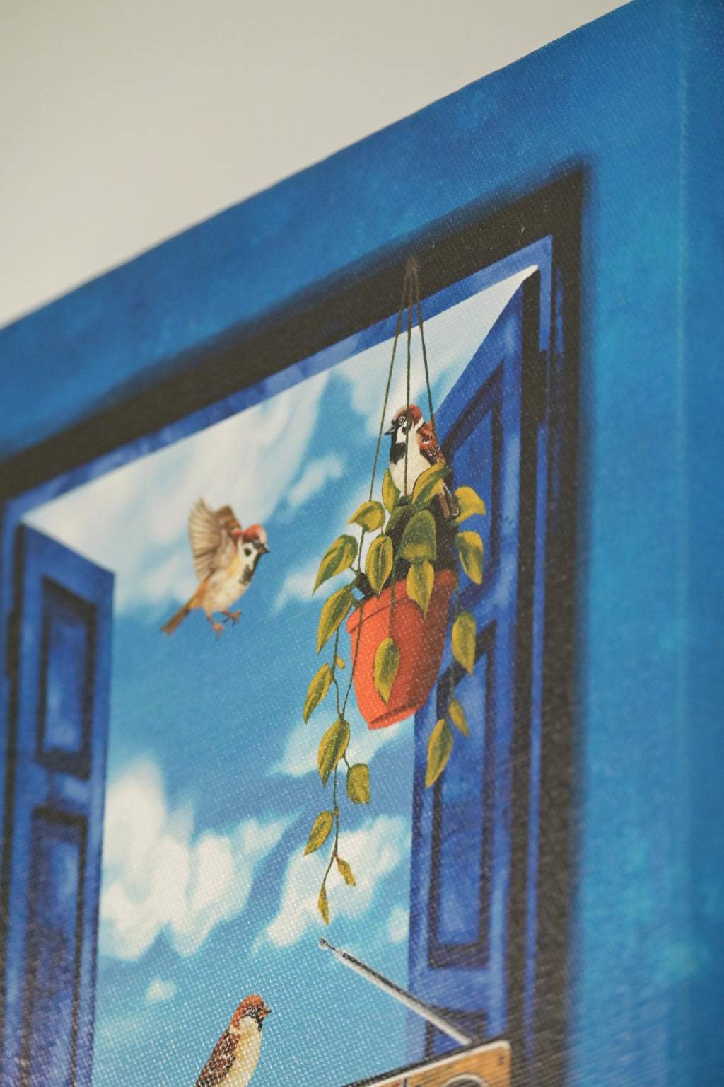 Sparrows gather as the radio plays 🌼