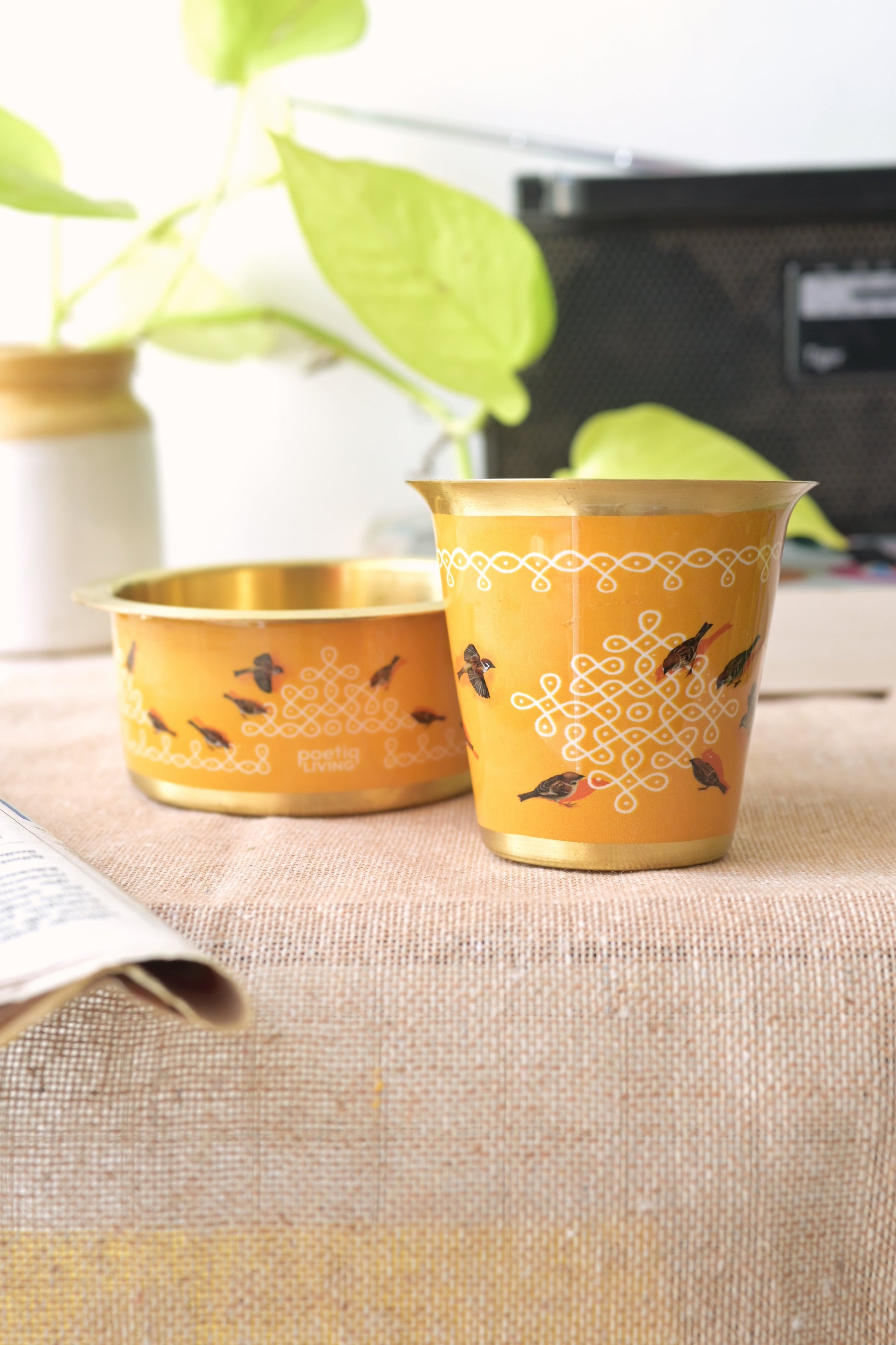 Kolam mornings with feathered guests