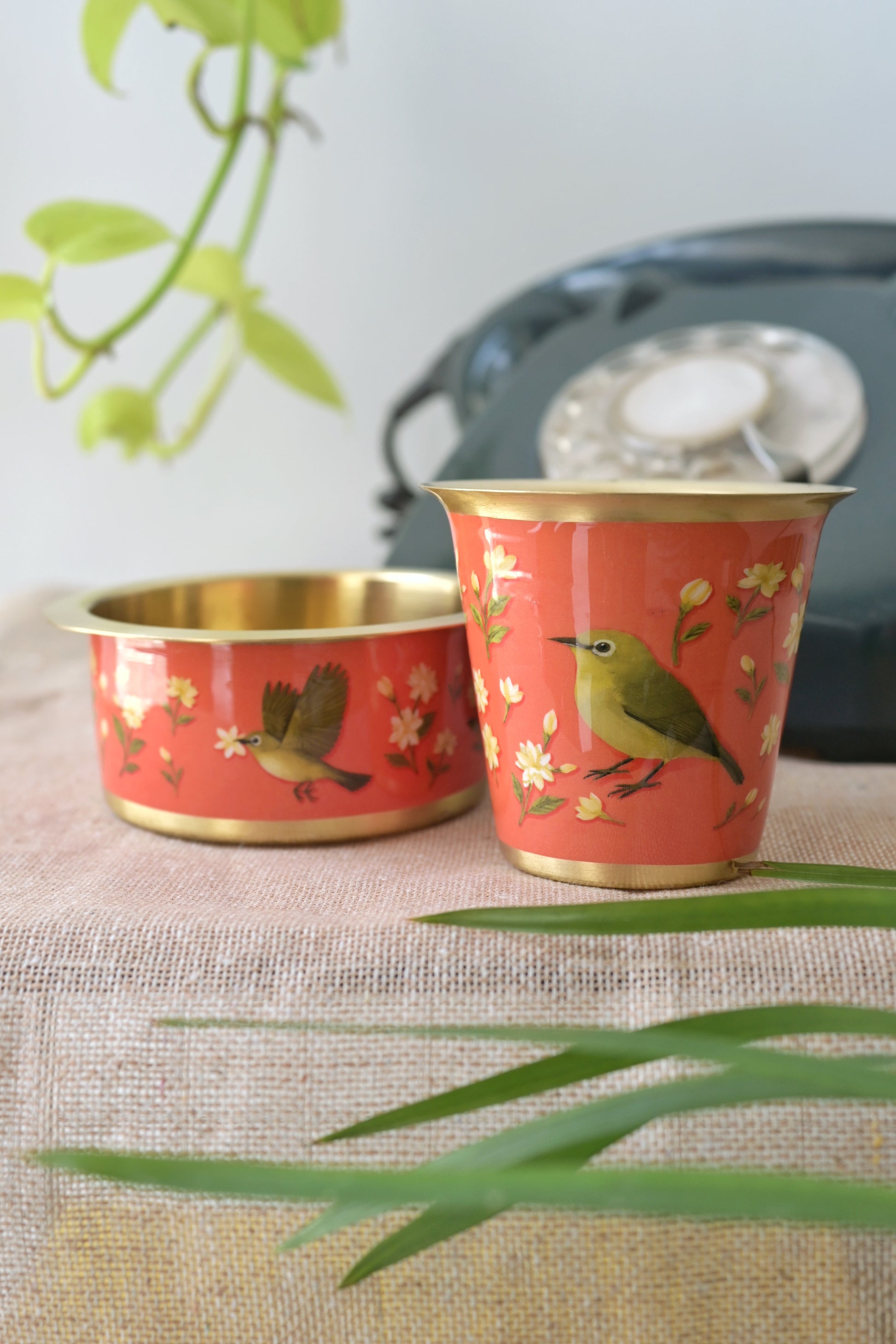 Following the fragrance of jasmine