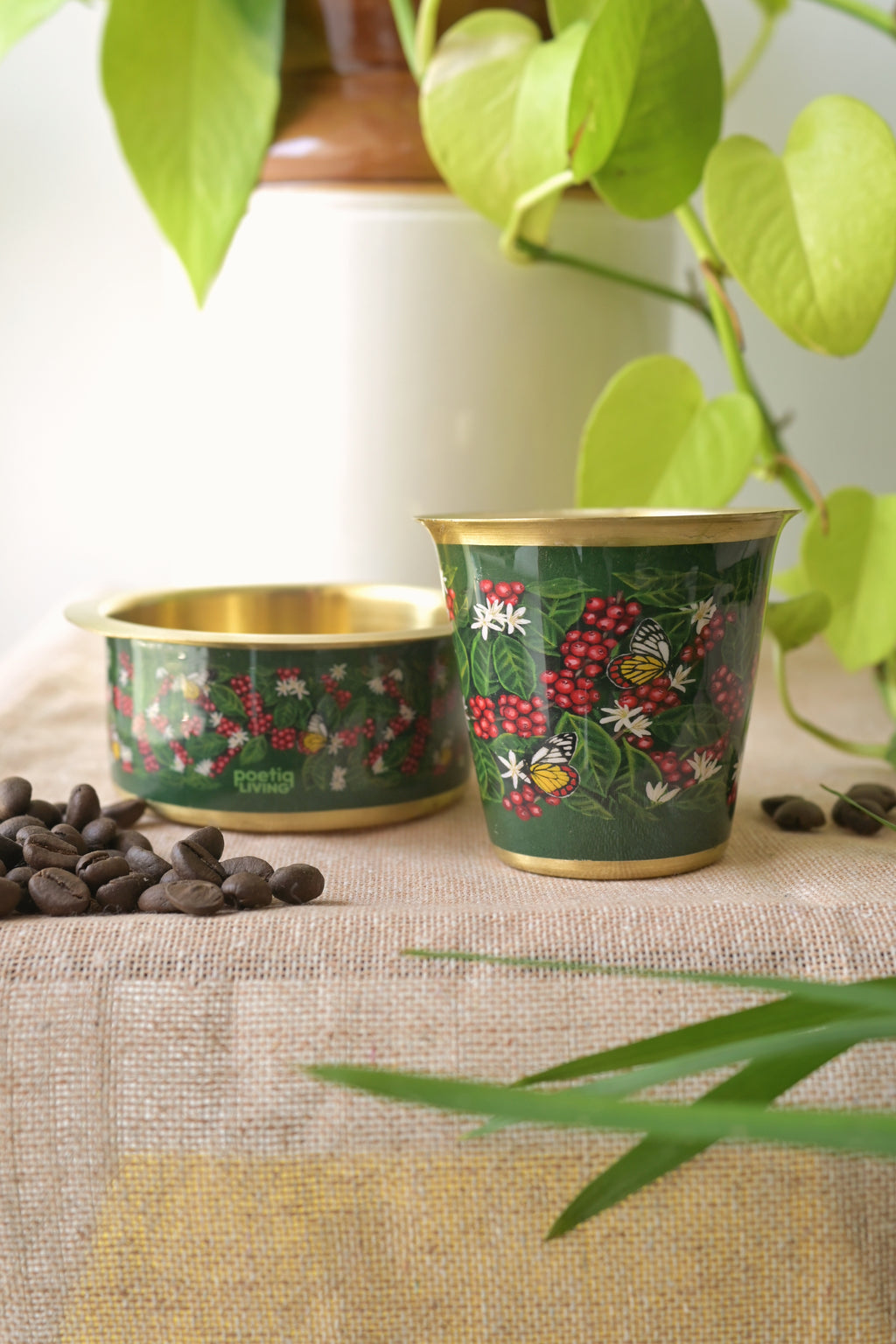 Butterflies dance on coffee blossoms 🌼