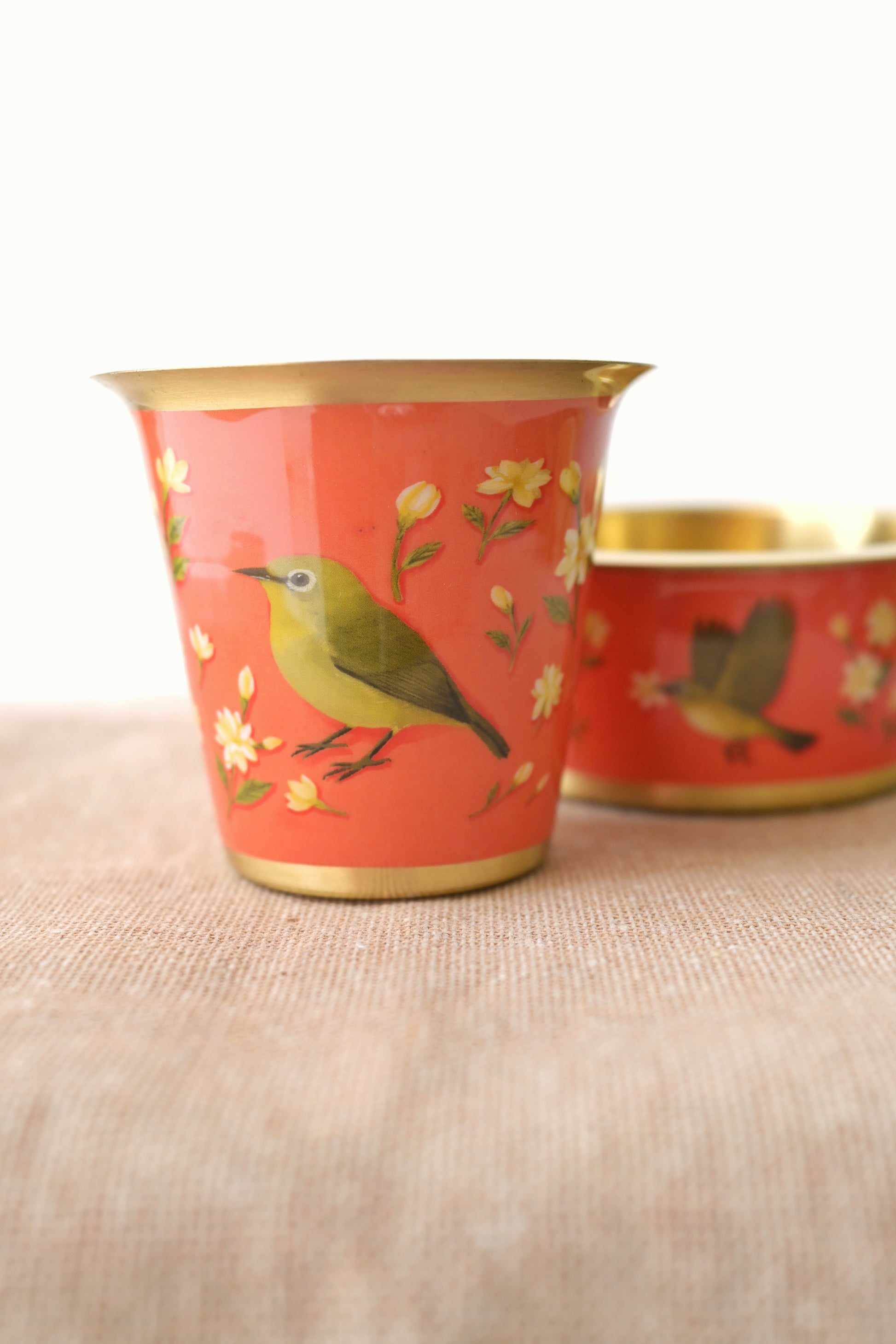 Following the fragrance of jasmine