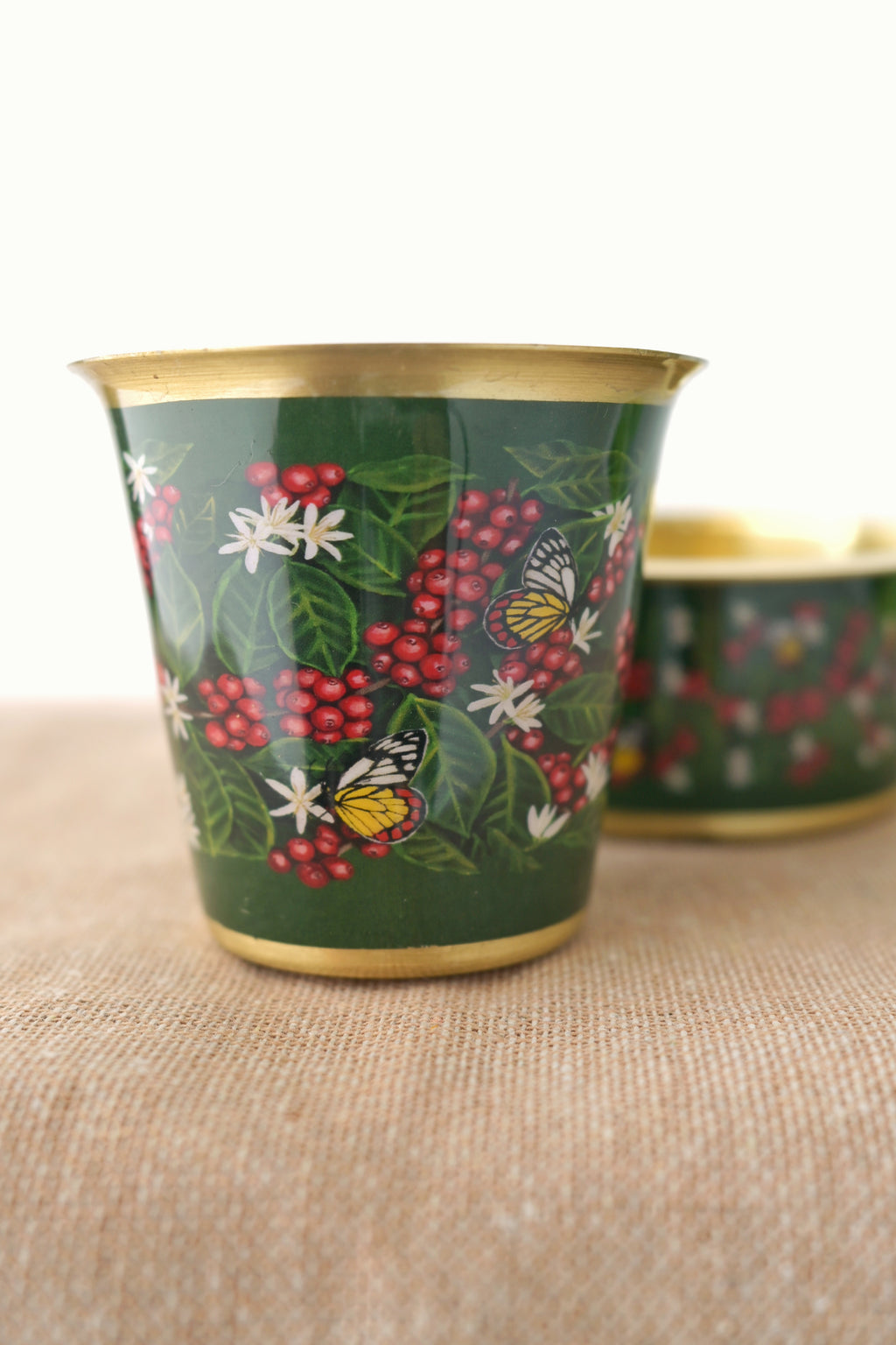 Butterflies dance on coffee blossoms 🌼