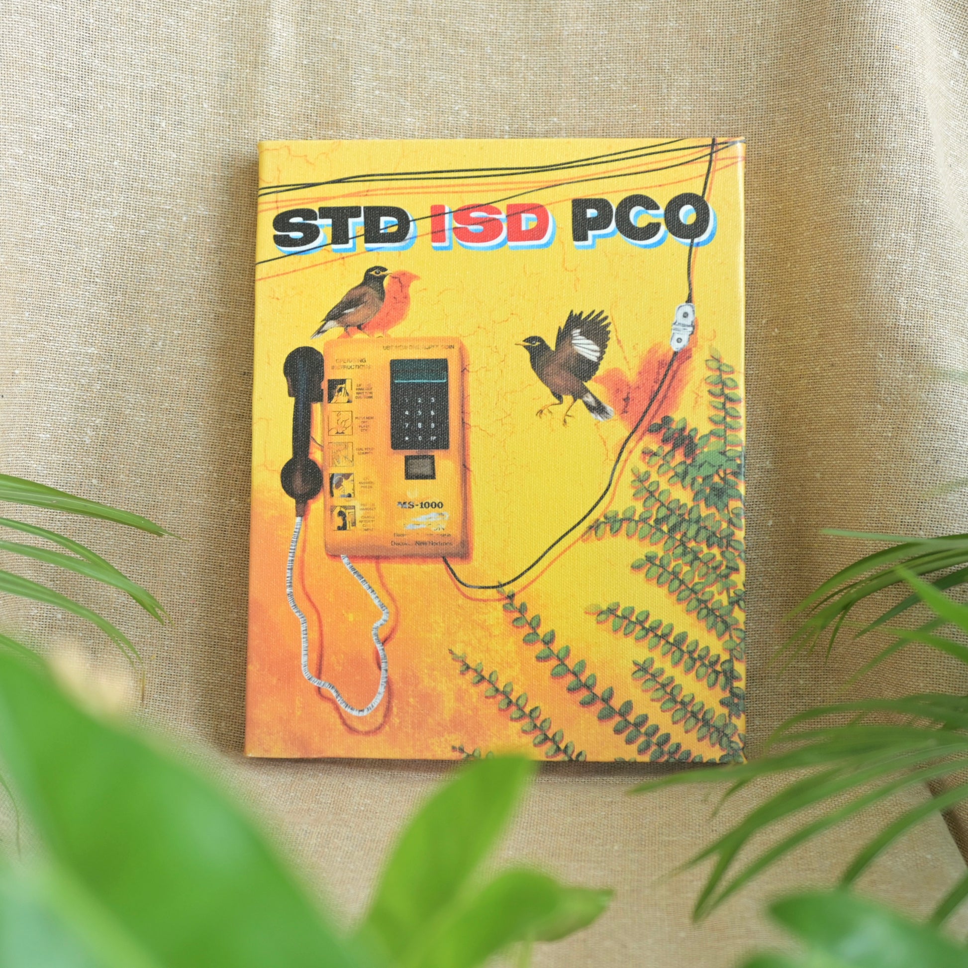 Singing mynas by a silent phone booth