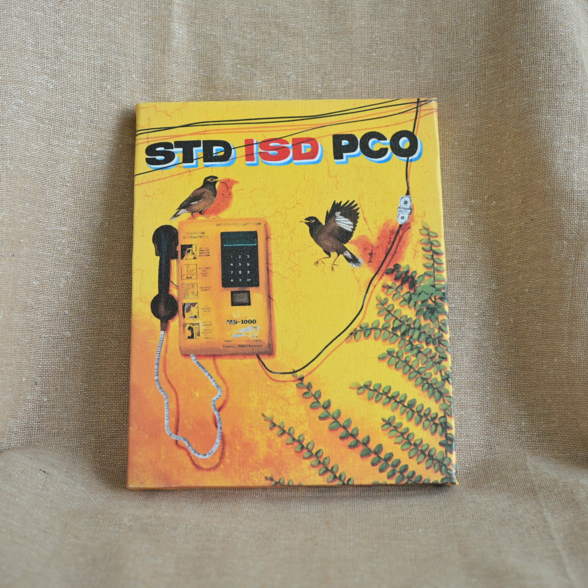 Singing mynas by a silent phone booth