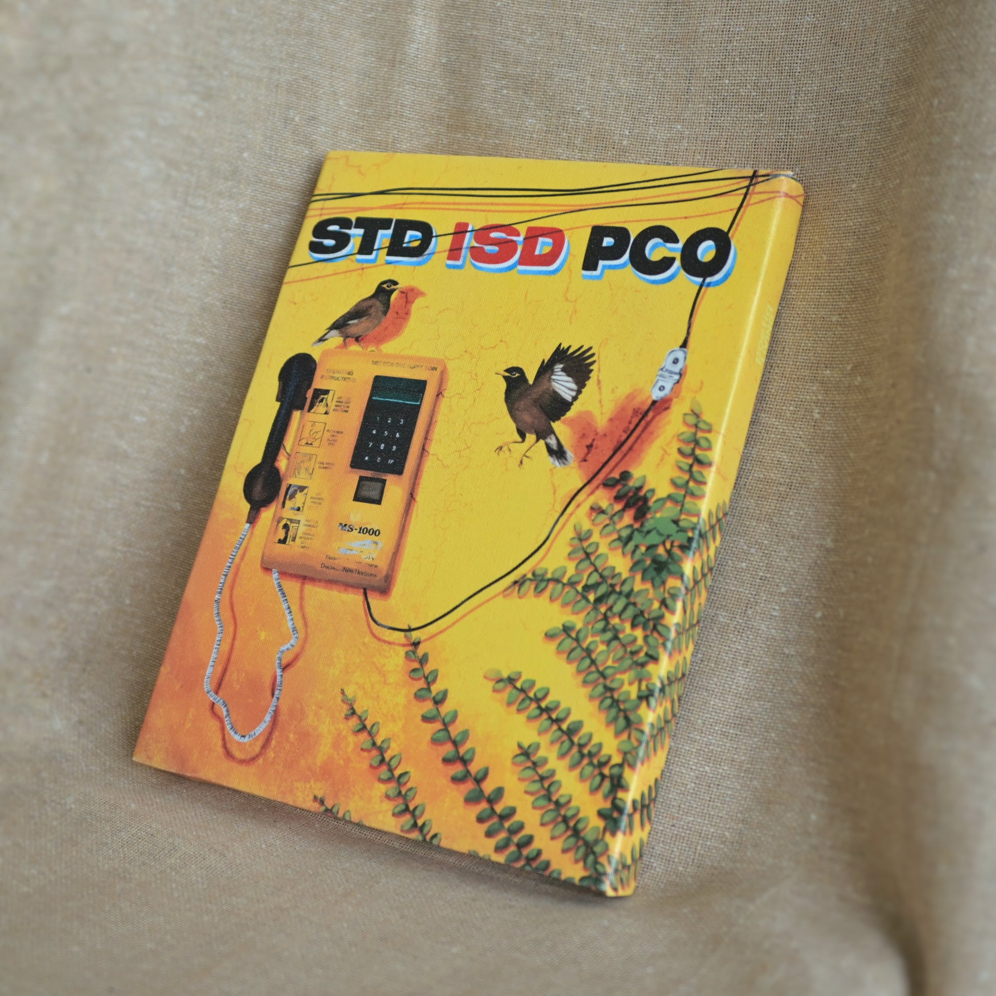 Singing mynas by a silent phone booth