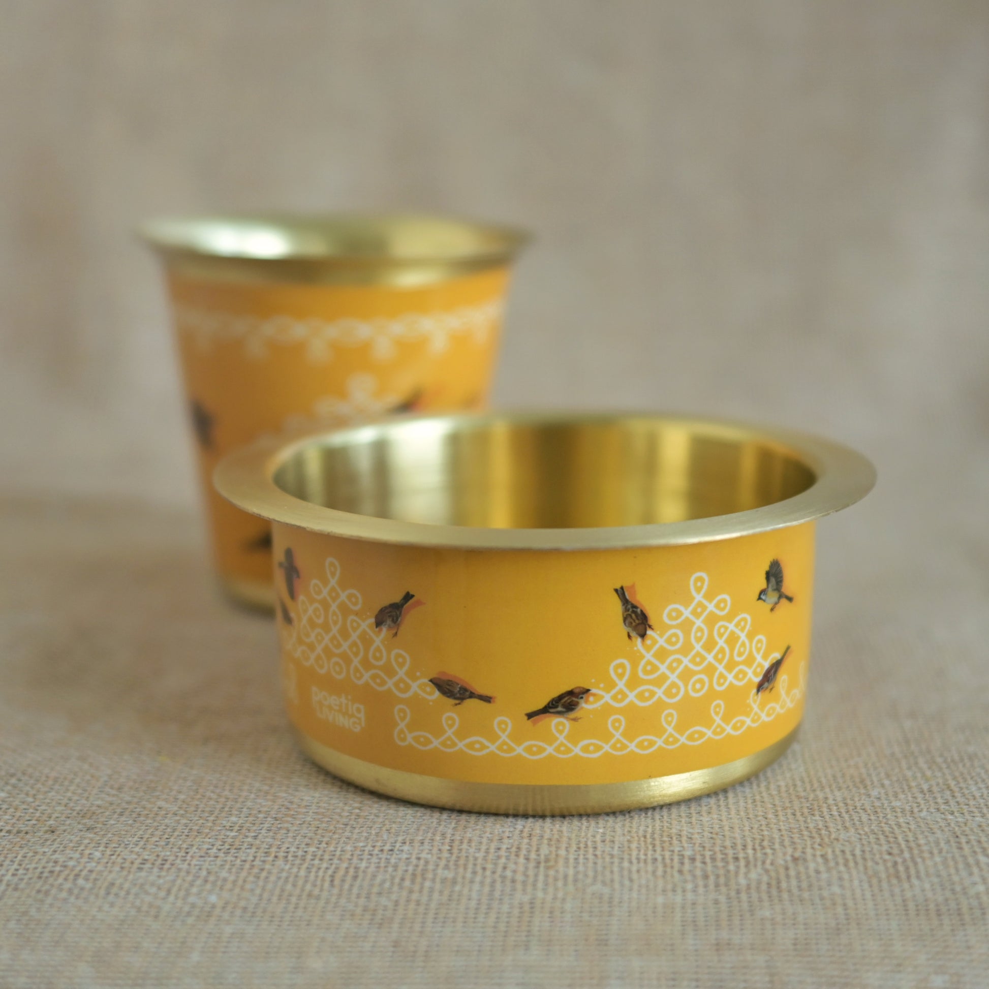 Kolam mornings with feathered guests