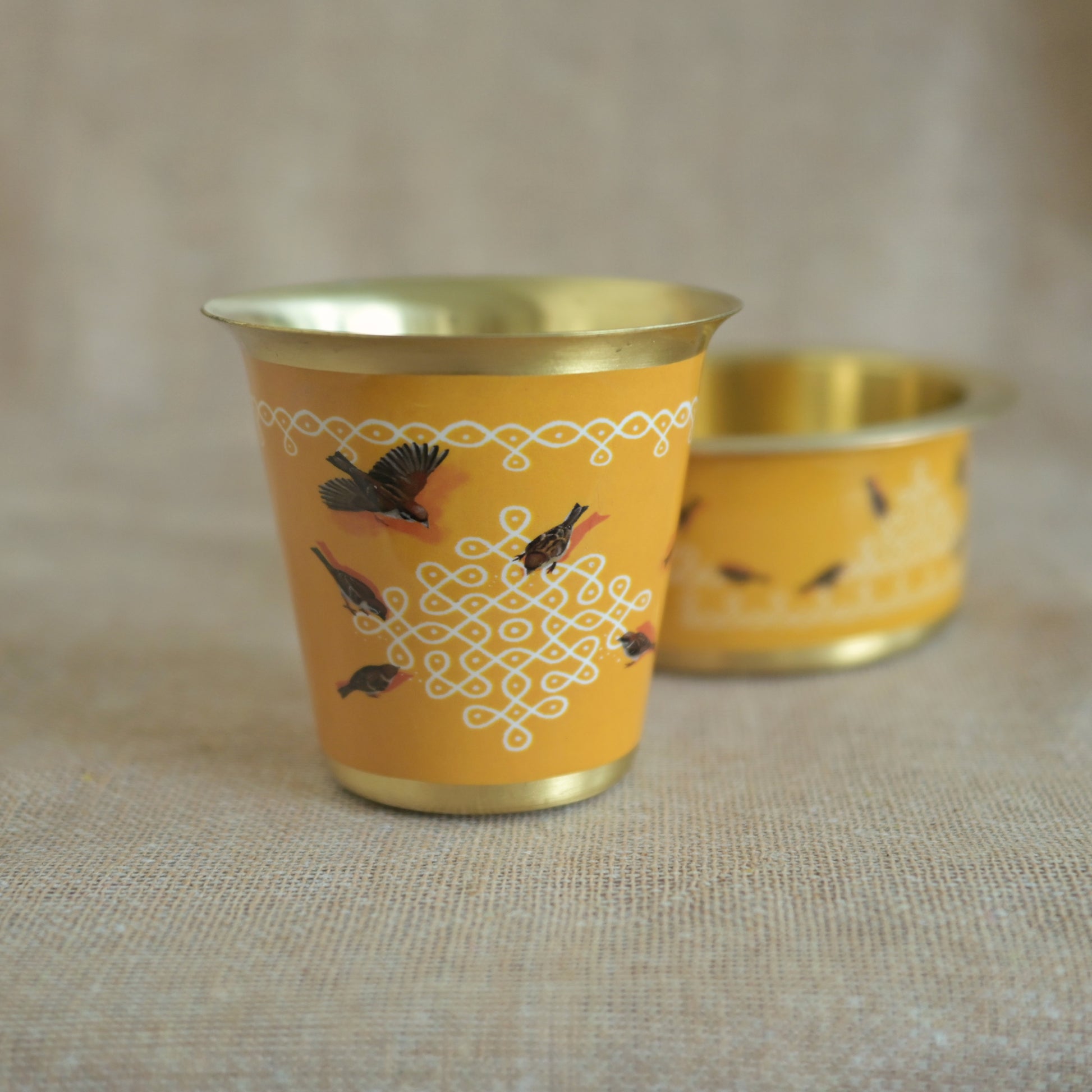 Kolam mornings with feathered guests