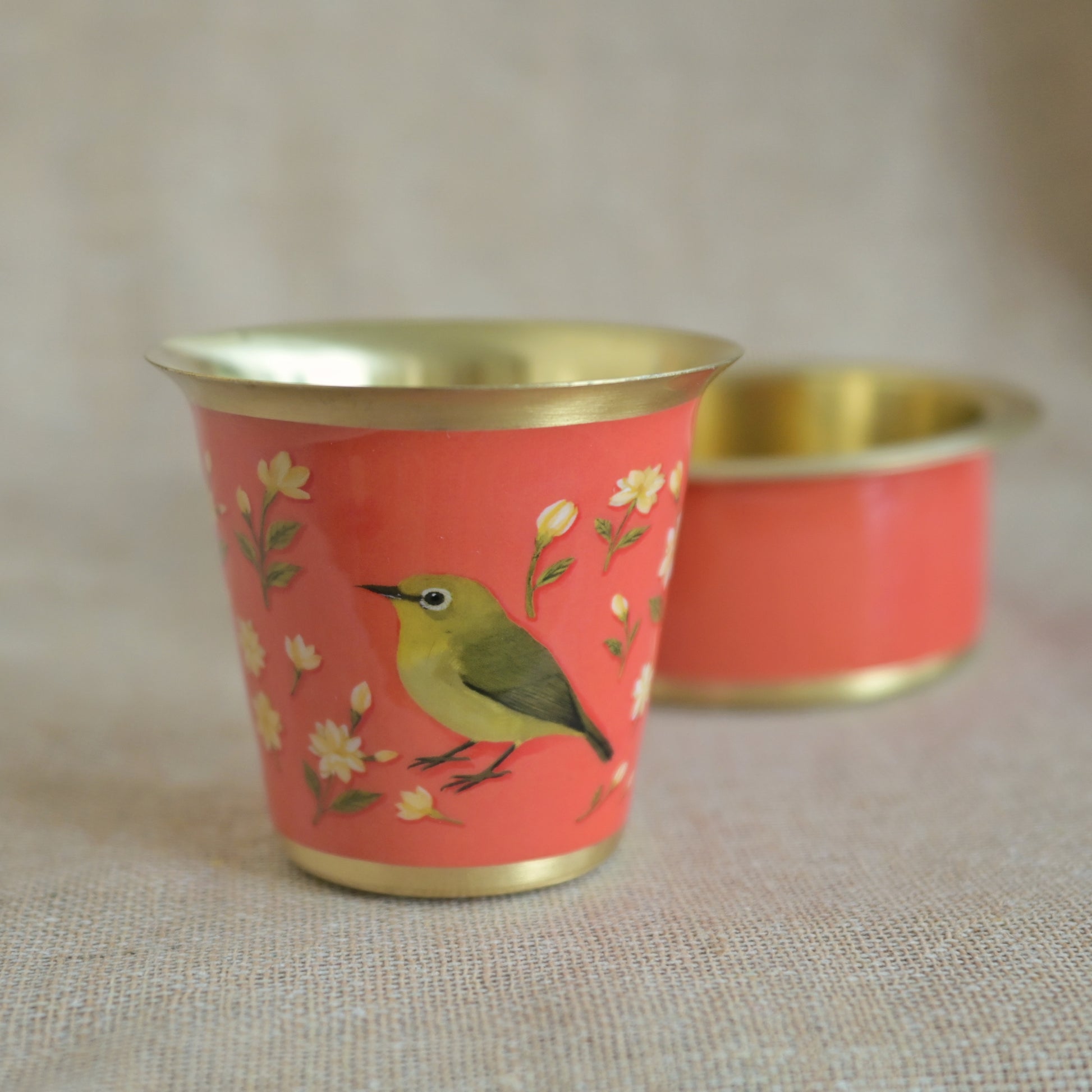 Following the fragrance of jasmine