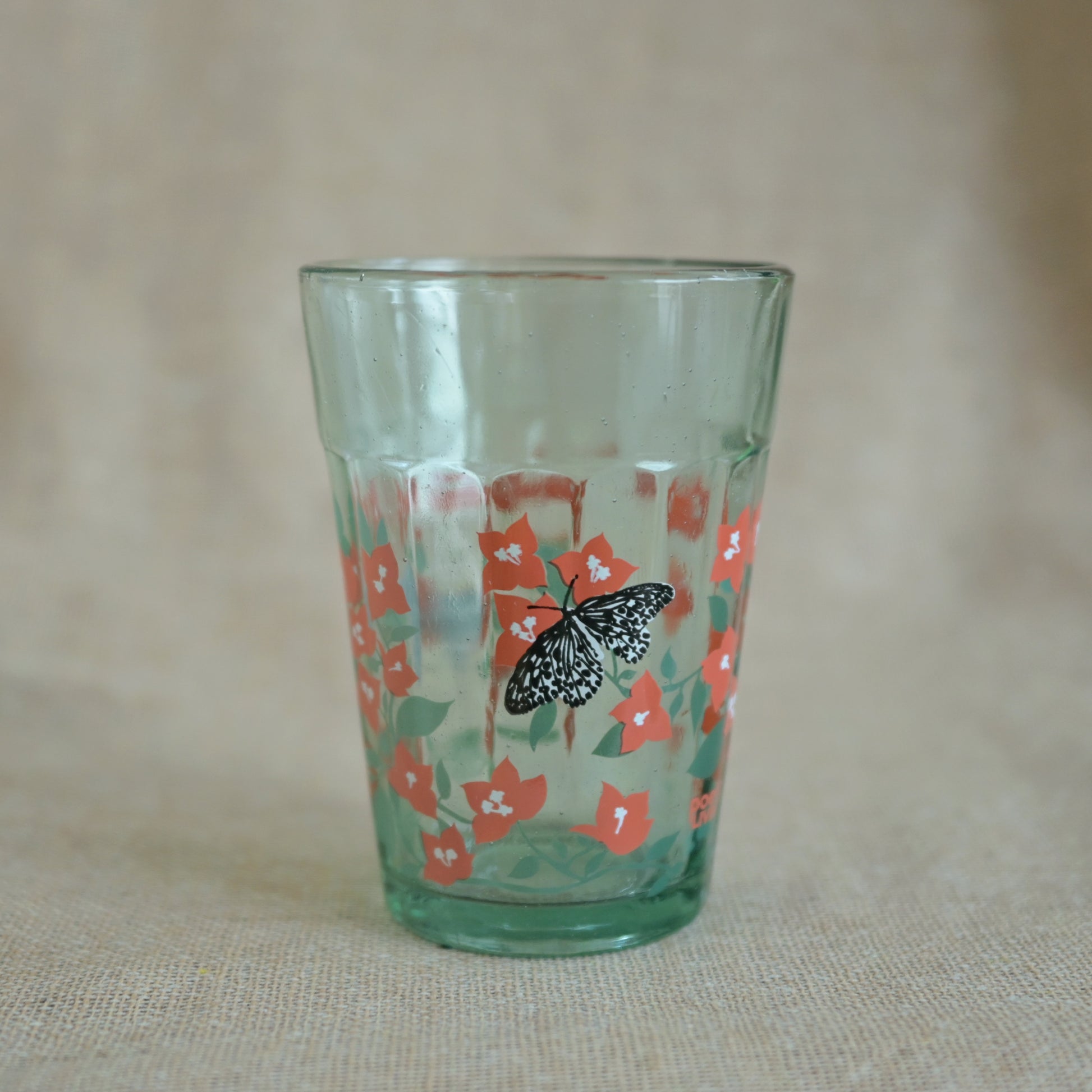 Bougainvillea blooms kissing butterflies