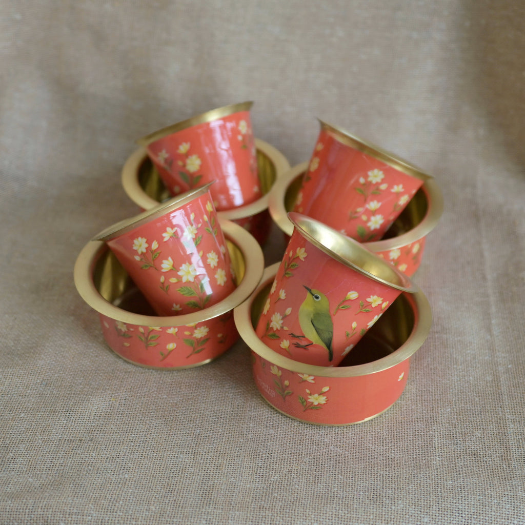 Following the fragrance of jasmine