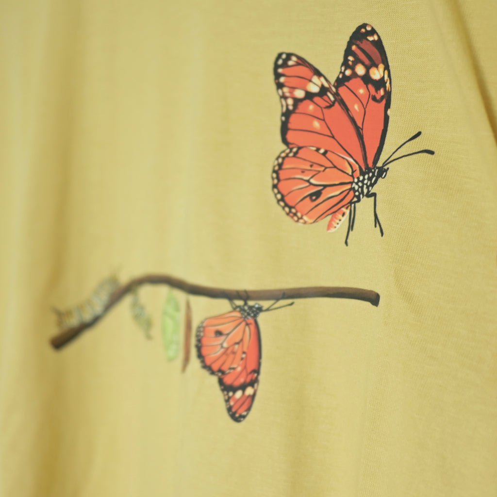 A butterfly born from silent struggle 001