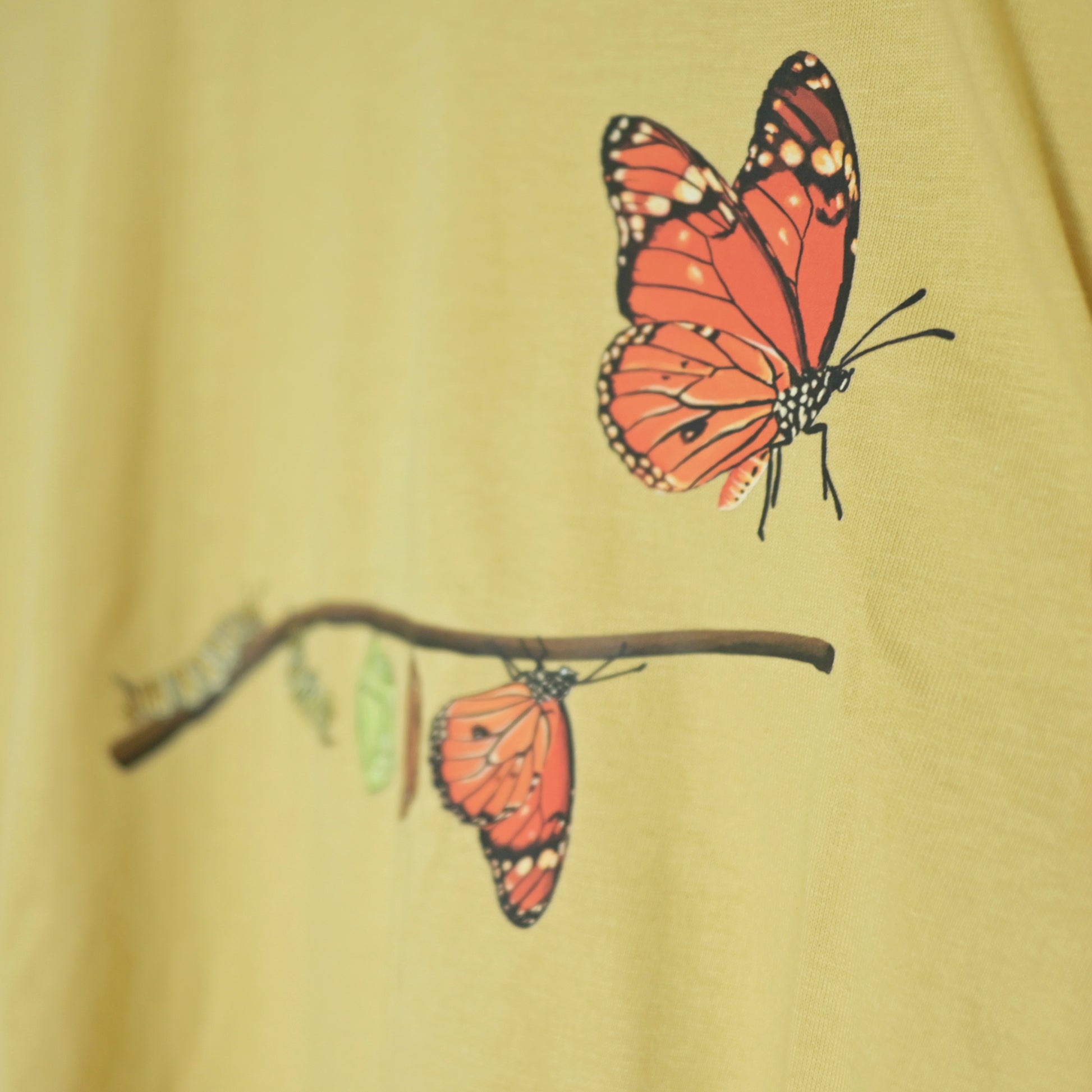 A butterfly born from silent struggle 001