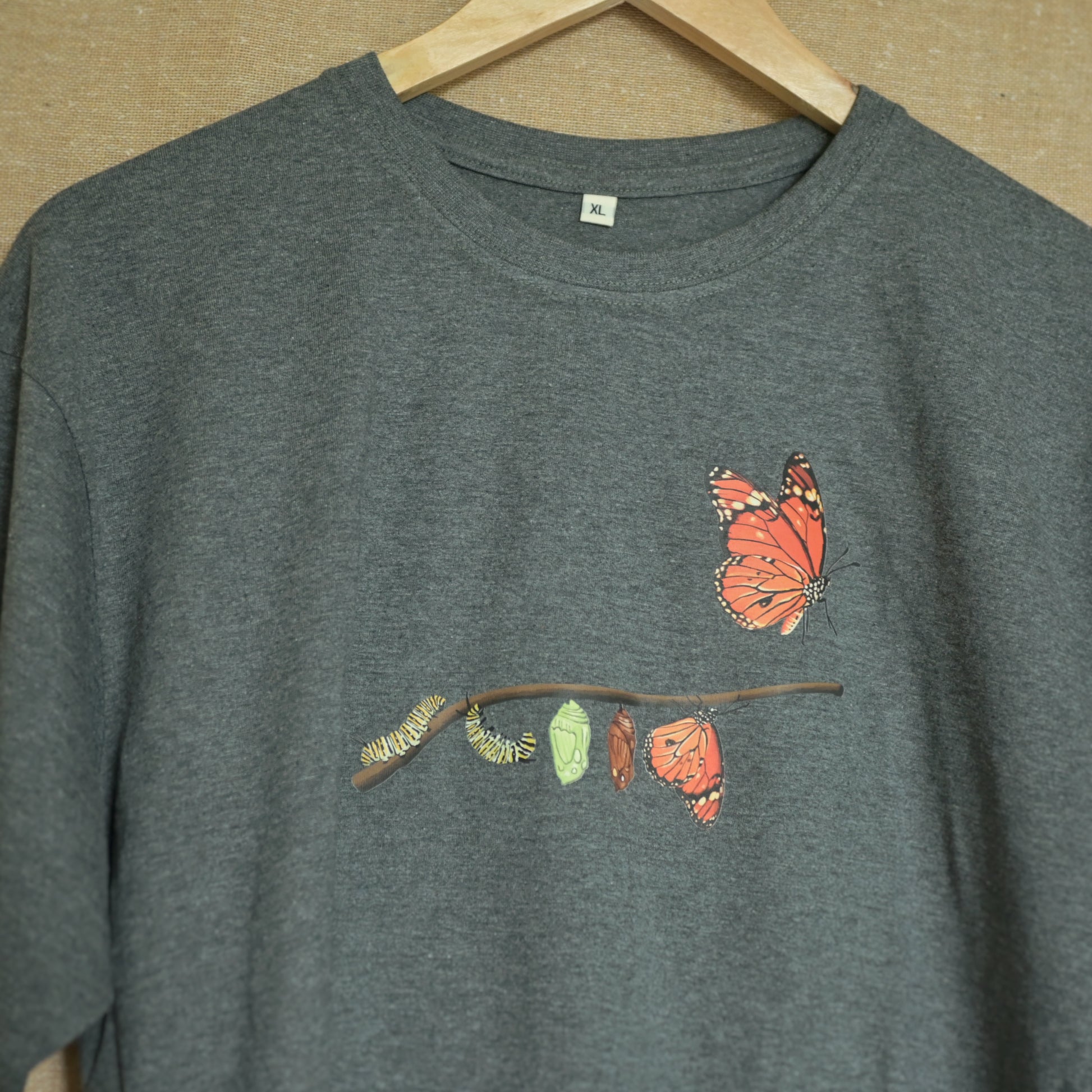 A butterfly born from silent struggle 002