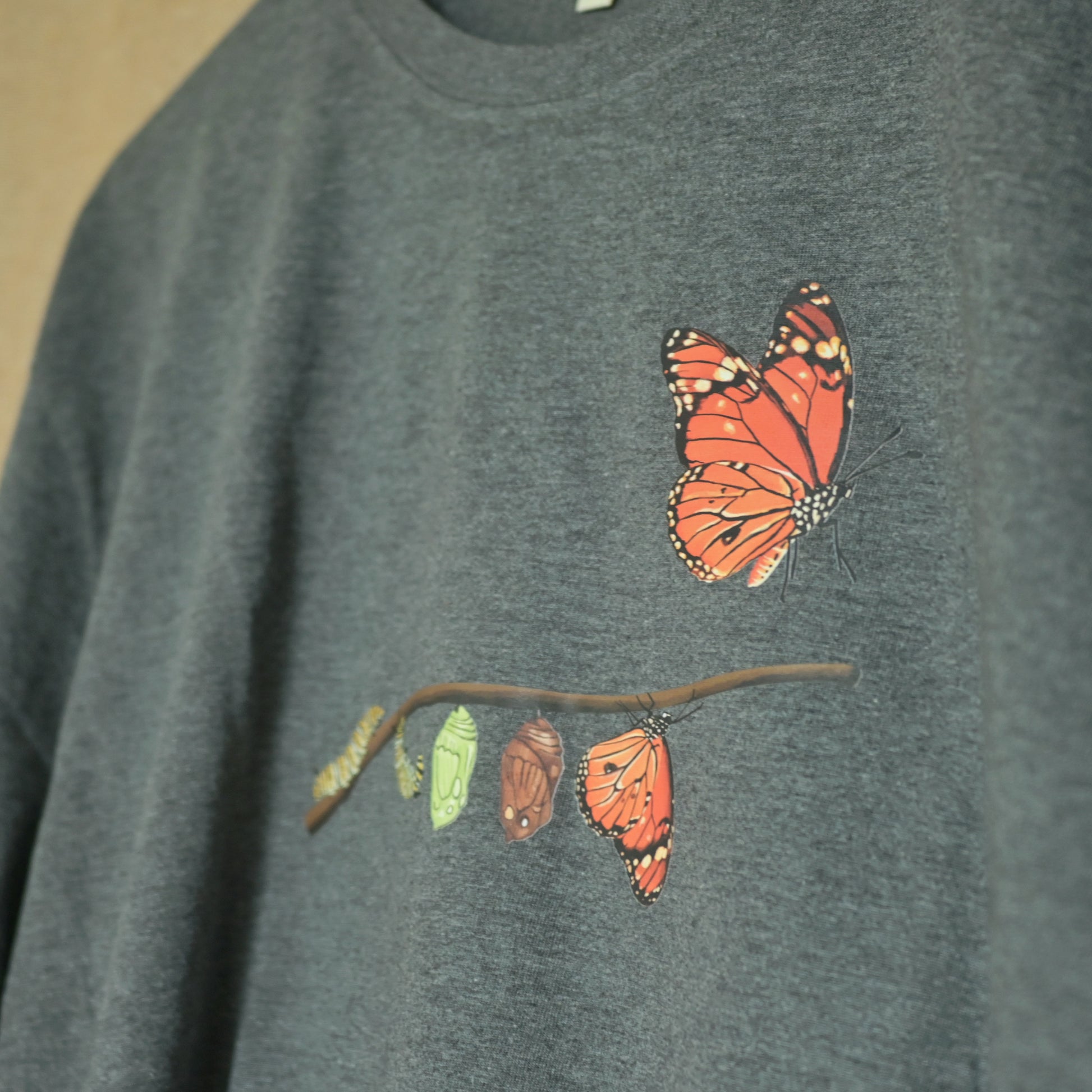 A butterfly born from silent struggle 002