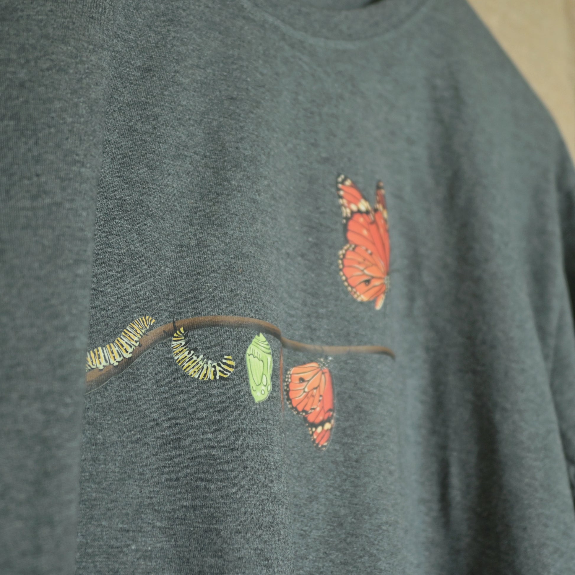 A butterfly born from silent struggle 002