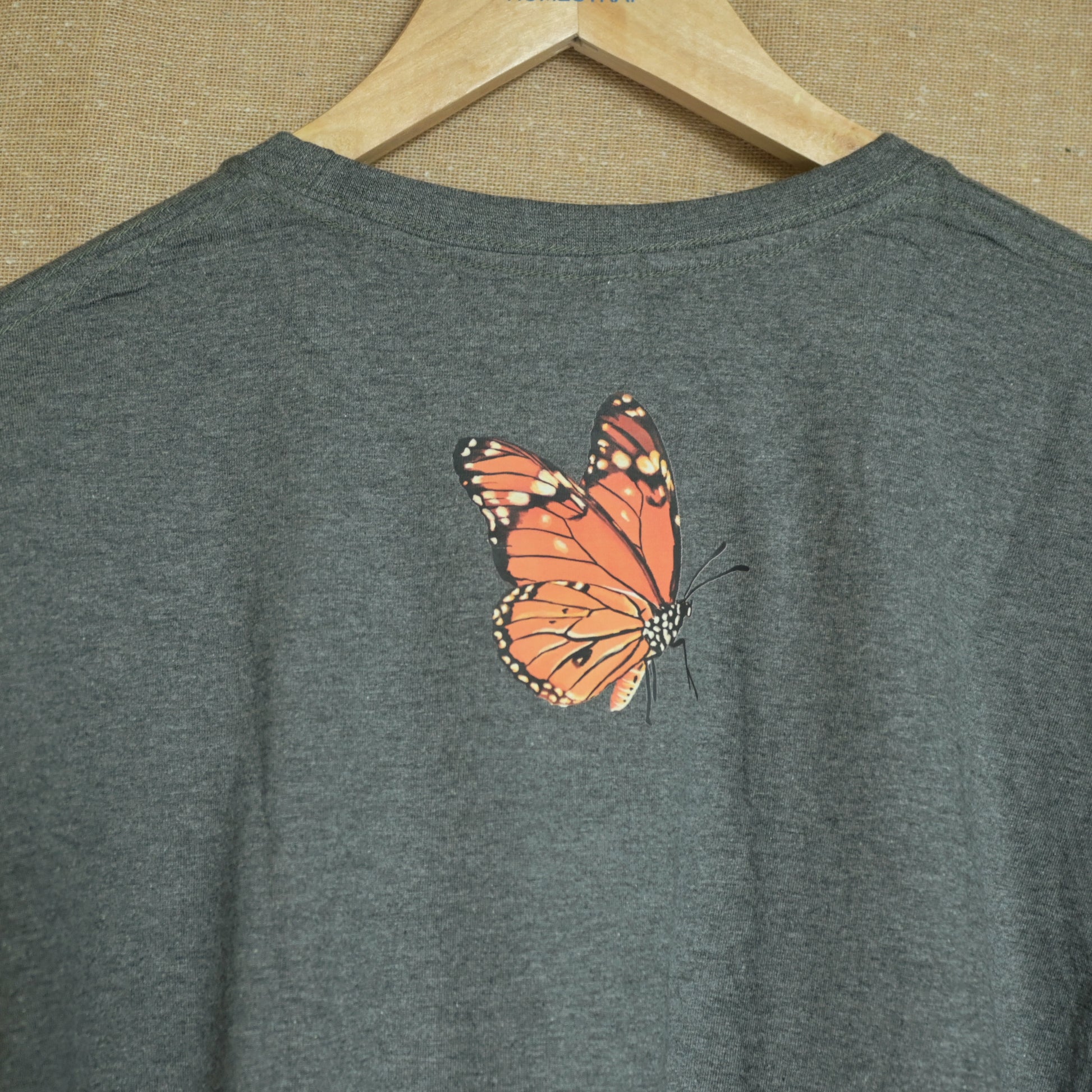 A butterfly born from silent struggle 002