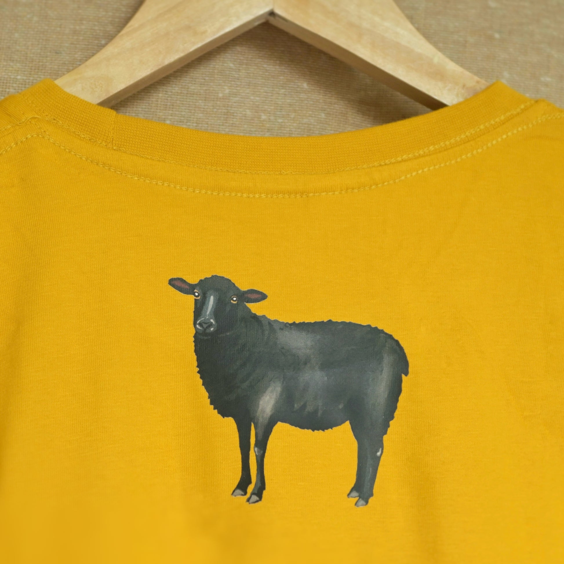 The black sheep stands tall