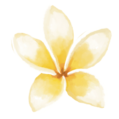 Direct from our studio